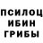 Псилоцибиновые грибы мицелий Pasha Klishevich
